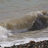 Волна :: Наталия Григорьева