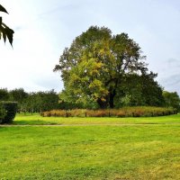 КОЛОМЕНСКОЕ :: АЛЕКСАНДР 