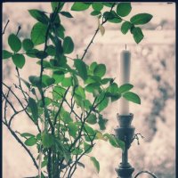 . . . :: Руслан 