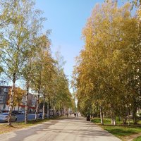 Осеннее утро :: Виктор 