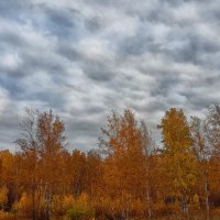 ... :: Наталья