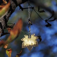 Высоко на дереве оригинальный свадебный замок :: Светлана Тихонина