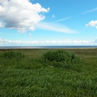 Танец облаков над озером. :: Наталья Лунева 