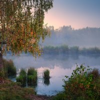 Позолотилась ... :: Roman Lunin