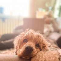 Мадам отдыхает :: Павел Харлин