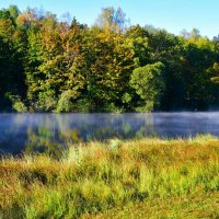 Про утренний туман. :: Милешкин Владимир Алексеевич 