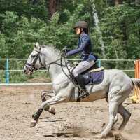 Конкур_ :: SanSan 