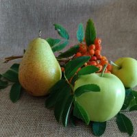 *** :: Любовь Сахарова