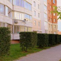 Люблю свой город. Моя улица :: Татьяна Лютаева