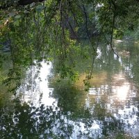 Харитоновский парк :: Елена Шаламова