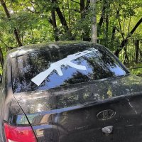 Что бы это значило? :: Ольга 