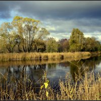 Золотая пора :: Aleksandr Gal