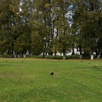 Владимирская область. Город Александров. Александровская слобода. :: Наташа ***** Владимирская область. Город Александров. Александровская слобода. :: Наташа *****