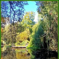 Осень царствует в природе. :: Ольга Довженко