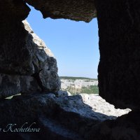 Природа Крыма :: Amazing Cosmea