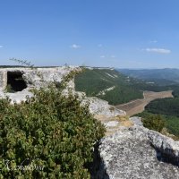 Природа Крыма :: Amazing Cosmea