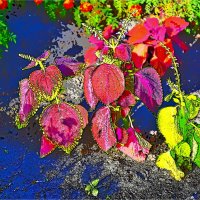 ОСЕНЬ :: Юрий Владимирович 34