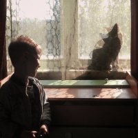 друзья кот Вася и Лев :: Лера 