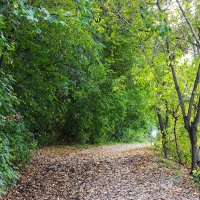 Осень.. :: Василий Осень.. :: Василий