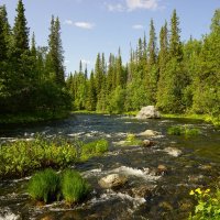 По пути на Сейдозеро :: Ольга Чистякова По пути на Сейдозеро :: Ольга Чистякова