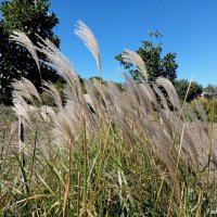 В ростовском экопарке Первая миля :: Нина Бутко