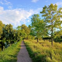 Тропинка. :: Лия ☼