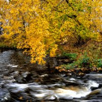 .... :: александр 