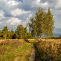 Бабье лето :: Андрей Дворников