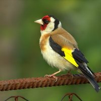 ... :: Вячеслав Минаев ... :: Вячеслав Минаев