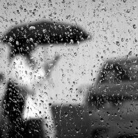 * :: Сергей Премонишын