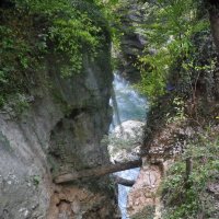 Теснина в Адыгее :: Марина Виноградова