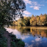 про парк :: Артём 