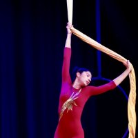 Гимнастка на полотнах :: Натали Королева