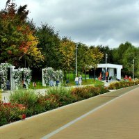 КОЛОМЕНСКОЕ :: АЛЕКСАНДР 