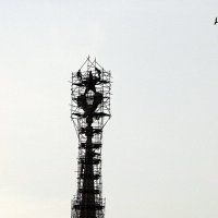 выше только чайки :: Олег Лукьянов