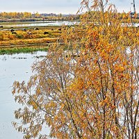 Сентябрь. в пойме протоки Коим! :: Владимир 