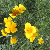 прошлогодний сентябрь :: Елена Шаламова