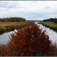 *** :: Aleksandr Gal