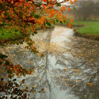 Осенний ручей :: Юрий. Шмаков