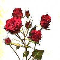 ,,, :: Сергей Тимоновский