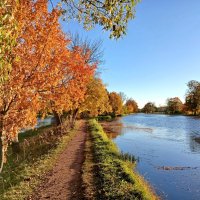 Золотой октябрь. :: Лия ☼ Золотой октябрь. :: Лия ☼