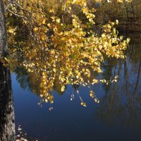 Осень :: Наталия Григорьева Осень :: Наталия Григорьева