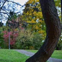 Парк Дружбы :: Мария Яковлева