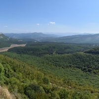 Природа Крыма :: Amazing Cosmea