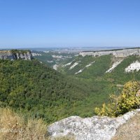 Природа Крыма :: Amazing Cosmea