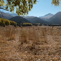 Ставка осени :: Алексей Большаков
