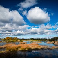Шуйские просторы! :: Валерий 