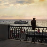 Людишки. И чего всё время суетятся.. :: AZ east3