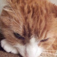 задумался :: Владимир 