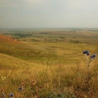 Дальние дали. :: Наталья Лунева 